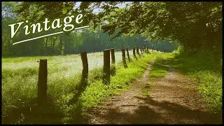 Como aplicar o efeito Vintage em suas fotos - Photoshop CC tutorial