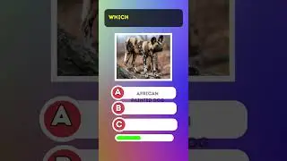 Guess The Animal #quiz #trivia #shorts #quiztime #animals