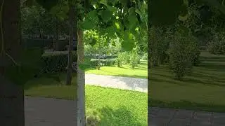 кто здесь? #shorts #youtube #памятники #парк #россия #екатеринбург