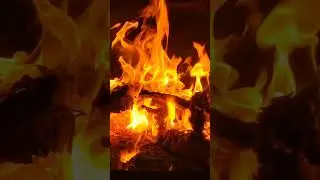 9 мая. Минута молчания.