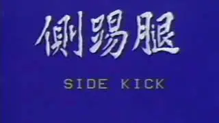 Wushu Basics   Stretch Kicks Tutorial