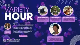 The WILDLABS Variety Hour: August 2024