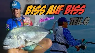 GT fishing Maldives. Totale Eskalation BISS auf BISS