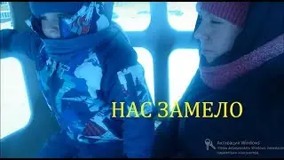 Нас замело. Собираем первый урожай лука.