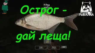 Русская рыбалка 4. Лещ на фидер на Старом Остроге.