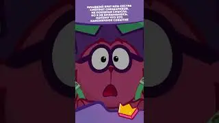 Каноничное событие... I Смешарики #shorts