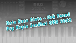 Satu Rasa Cinta - Instrument Cek Sound Pop Koplo Pegon ORG 2022 VIP Sofeh Sunrise