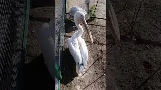Как нам вдвоём с тобой хорошо 🤣😁 