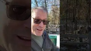 Compost Caddy