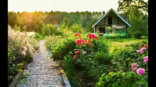 ПРОДАЮ САД В ШАВЕ САДОВОЕ ОБЩ. ПРИОЗЁРЬЕ