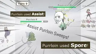 Assist Purrloin Sweeps!