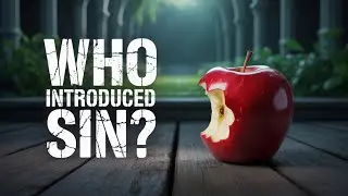 Did God Make Sin or Did We?