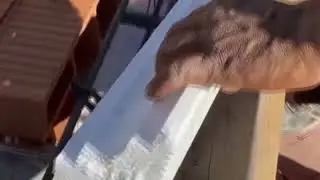 molduras de unicel / pechos de paloma
