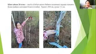 Семенова Айаана - 2 "а" кл. Тема: Дьиэ таhыгар ʏʏнэр уонна тыаҕа ʏʏнэр хатыҥнары кэтээн кɵрʏʏ