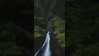 Amazing Forest View By Drone|#shorts #naturephotography #video