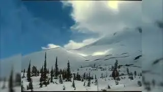 #MSH45