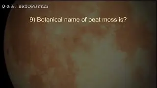 50+ Objective Questions - Bryophytes - Asked in various exams | Objective biology