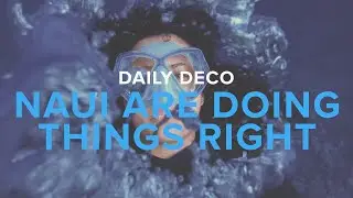 NAUI Are Doing Things Right | Daily Deco
