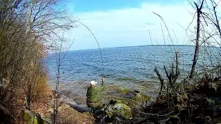Первая рыбалка сезона на водохранилище  Ловля на фидер, плотва и окунь