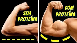 Alimentos Ricos em Proteínas Para Ganhar Massa