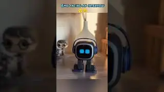 Emo robot facing the interview 