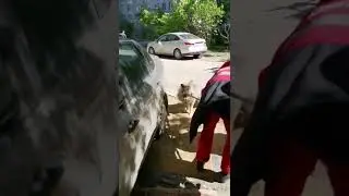 Спасение собачки #служба #службаспасения #мчс #мчсроссии #чс #помощь #спасатели #чп #собака #прикол
