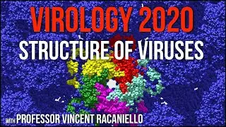 Virology Lectures 2020 #4: Structure of Viruses