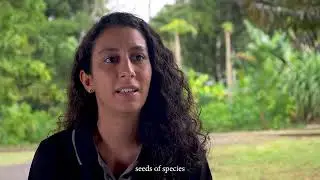 Preserving the Legacy: Luana's Mission to Save Endangered Tree Species