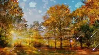 İlham Qəmli | Qəlbimə dəyməyin qanaya bilər, & Yüz yerindən yaralıdı nə vaxtdı.