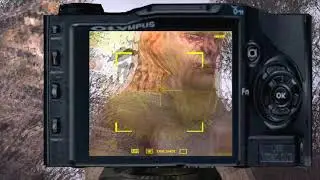 Две фотографии Кленову 