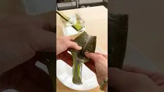 Voici l’intérieur d’une feuille d’Aloe Vera ! 