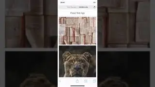 Flutter Web App on iPhone X