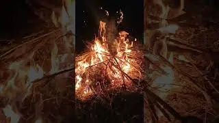 костёр,раки,пиво и жареная картошка в костре,ммммм