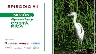 Episodio #4 - Sostenibilidad : Sin ingredientes artificiales || Misión de Aprendizaje a Costa Rica