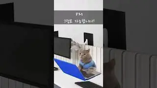 PM과 개발자의 온도차