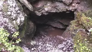 July 2018 Video Letter, part 1