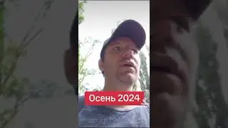 Желаю хорошей осени 2024 #осень #пожелание #осень2024 #желаюдобра