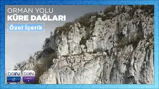 Orman Yolu | Küre Dağları | Özel İçerik