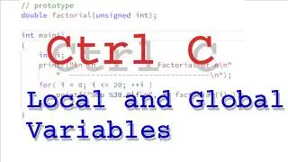 Local and Global Variables