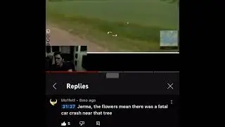 PSYCHO Streamer mistakes CAR ACCIDENT TRIBUTE for a CARTOON TREE