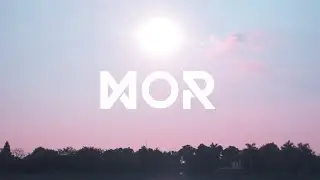 WMD - Yearn