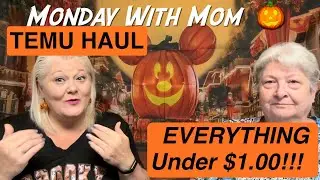 HUGE 💥 TEMU HAUL // EVERYTHING UNDER $1 || PART 1