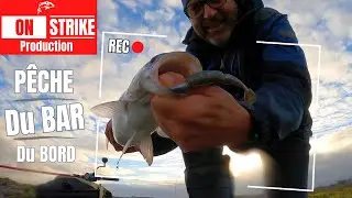Gros BARS du BORD - La saison 2023 en images 🔥