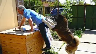 ЛЮТЫЙ ПАРИКМАХЕР СПУСТИЛ НА МЕНЯ СОБАКУ !