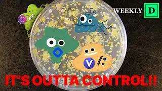 Crypto Contagion: Mapping the fallout from $LUNA, 3AC, Celsius, Voyager and Blockfi