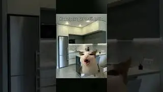 #мойденьизжизни #жизнь #смерть