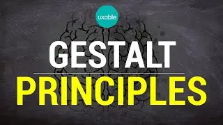 Gestalt Principles | UX | Vital Principles Covered