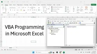 Spreadsheet Power Live Stream (VBA Programming)