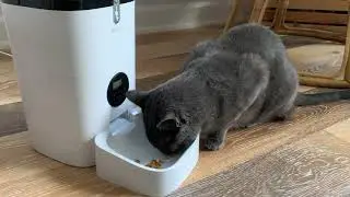 Pet Nutrition 101 - age specific & targetted diets