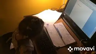 Первый документ Директора